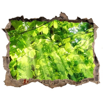 Pegatina de vinilo agujero 3d para pared Bosque verde bajo los rayos del sol
