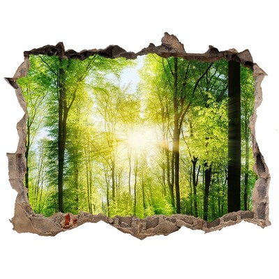 Pegatina de vinilo agujero 3d para pared Bosque verde con rayos de sol