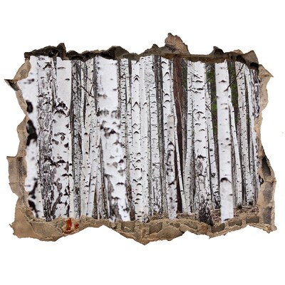 Pegatina agujero en la pared autoadhesiva Oasis forestal de abedules blancos