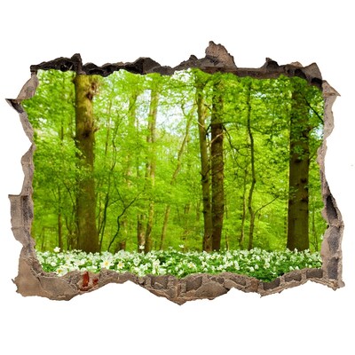 Trampantojo de pared rota efecto profundidad Un bosque verde con flores florecientes