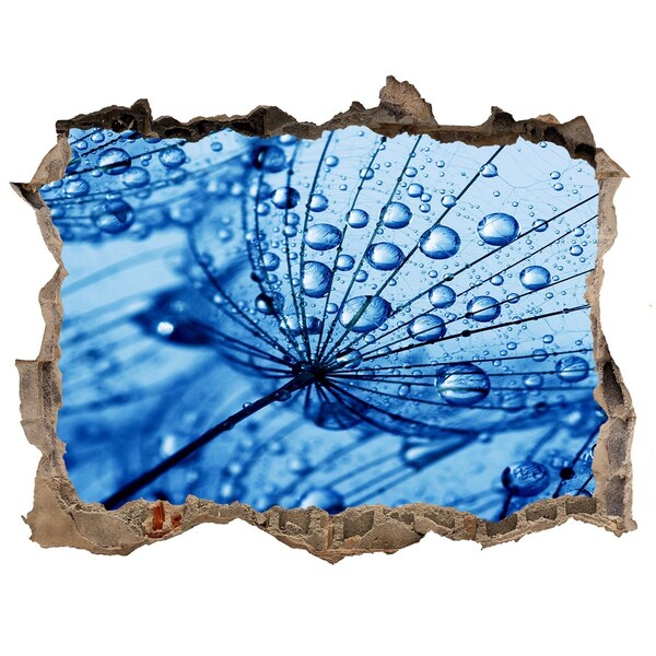 Vinilo pared rota 3d efecto realista Gotas de agua sobre una delicada flor