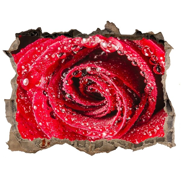 Trampantojo de pared rota efecto profundidad Rosa con gotas de agua