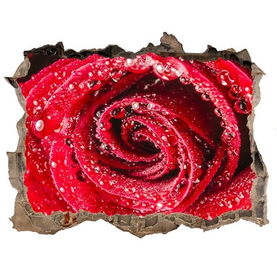 Trampantojo de pared rota efecto profundidad Rosa con gotas de agua