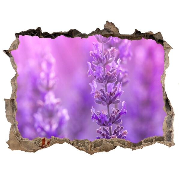 Vinilo pared rota 3d efecto realista Flores de lavanda a la luz de la mañana
