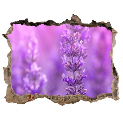 Vinilo pared rota 3d efecto realista Flores de lavanda a la luz de la mañana