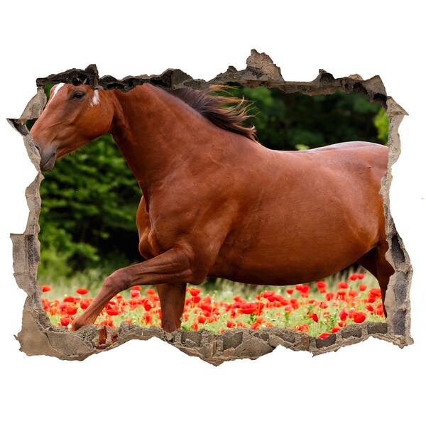 Vinilo pared rota 3d efecto realista Un caballo en un campo de amapolas