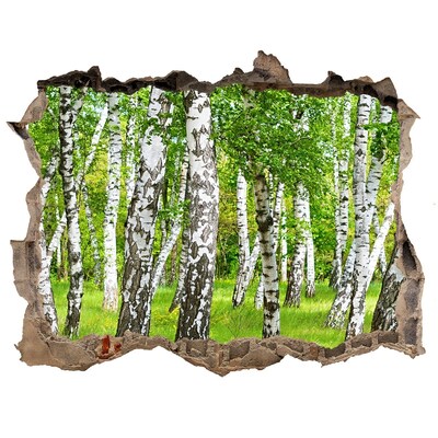 Pegatina de vinilo agujero 3d para pared Bosque de abedules verdes