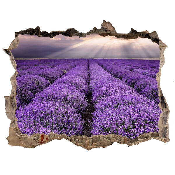 Trampantojo de pared rota efecto profundidad Campos de lavanda a la luz del sol poniente