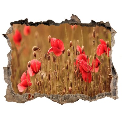 Pegatina agujero en la pared autoadhesiva Flores entre el muro en ruinas