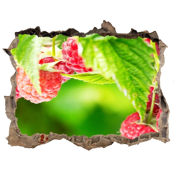 Pegatina de vinilo agujero 3d para pared Frambuesas en el jardín