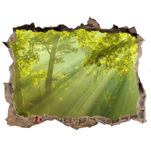 Pegatina de vinilo agujero 3d para pared Bosque verde con rayos de sol