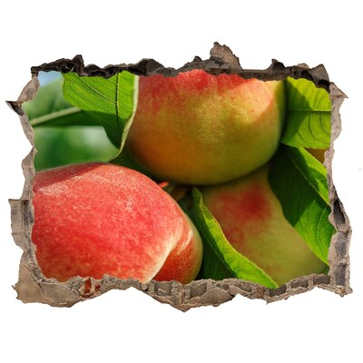 Trampantojo de pared rota efecto profundidad huerto de manzanas