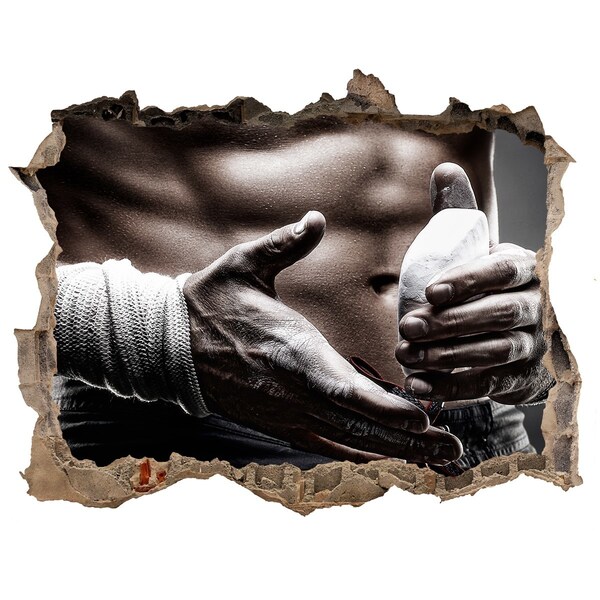 Trampantojo de pared rota efecto profundidad campeón de artes marciales