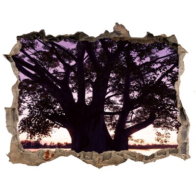 Trampantojo de pared rota efecto profundidad Puesta de sol detrás del árbol