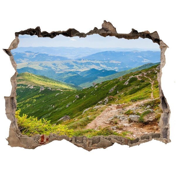 Vinilo pared rota 3d efecto realista Paisaje de montaña con un camino