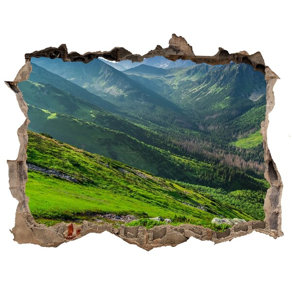 Pegatina de vinilo agujero 3d para pared Un valle verde en las montañas