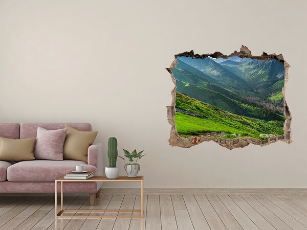Pegatina de vinilo agujero 3d para pared Un valle verde en las montañas