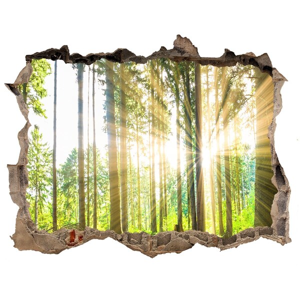 Vinilo pared rota 3d efecto realista Claro del bosque bajo los rayos del sol