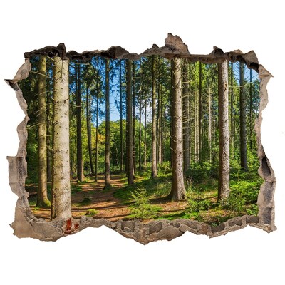 Trampantojo de pared rota efecto profundidad Un sendero forestal en la espesura de los árboles