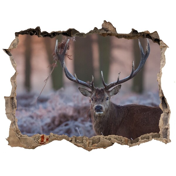Trampantojo de pared rota efecto profundidad Ciervos en el bosque