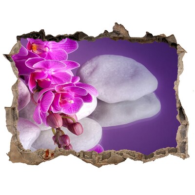 Fotoobraz dziura na ścianę Orchidee na tle kamieni