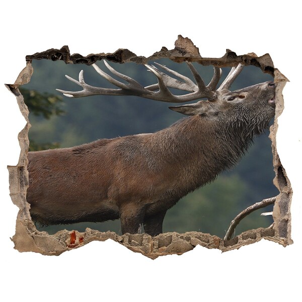 Vinilo pared rota 3d efecto realista Ciervos en un paisaje de montaña