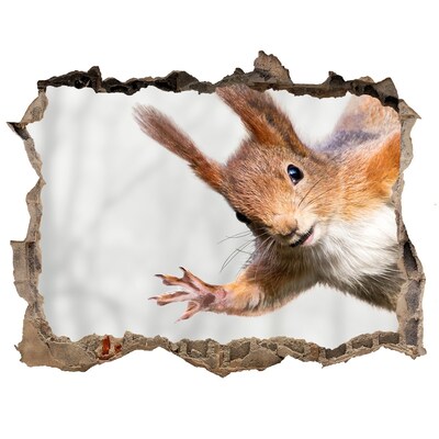 Trampantojo de pared rota efecto profundidad Ardilla en acción