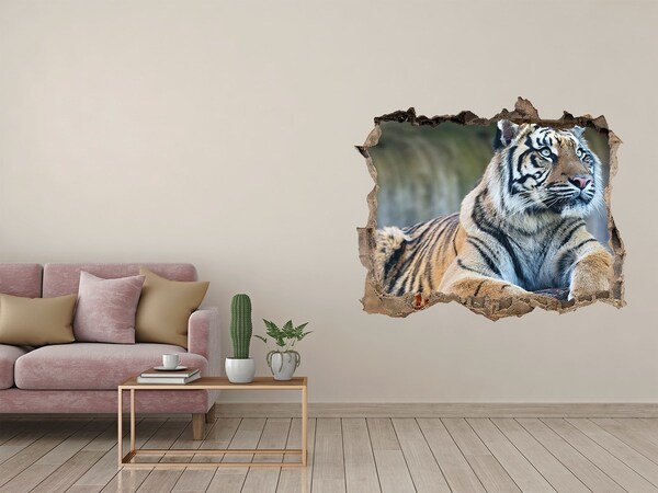 Pegatina agujero en la pared autoadhesiva Tigre en estado salvaje