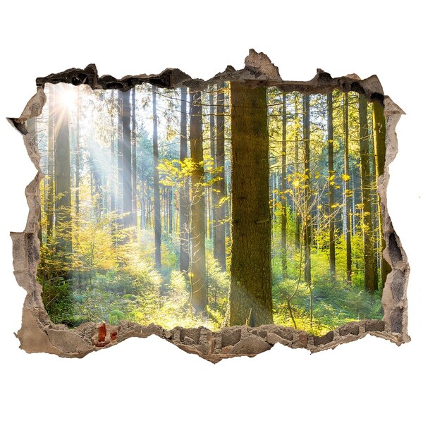 Vinilo pared rota 3d efecto realista Oasis forestal de luz