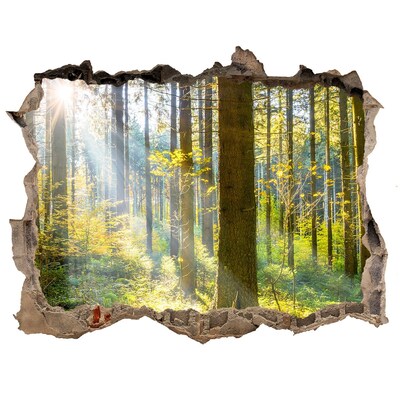 Vinilo pared rota 3d efecto realista Oasis forestal de luz