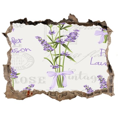 Trampantojo de pared rota efecto profundidad Jardín de lavanda vintage