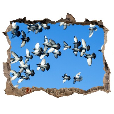 Vinilo pared rota 3d efecto realista Pájaros volando a través de un agujero en la pared