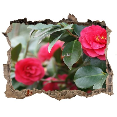 Trampantojo de pared rota efecto profundidad Jardín de flores en hormigón