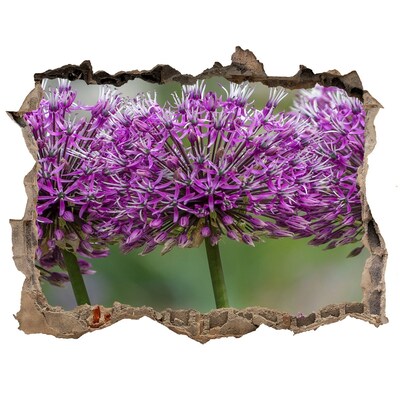 Vinilo pared rota 3d efecto realista Flores en flor