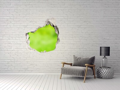 Vinilo adhesivo efecto agujero 3d para casa Un oasis verde detrás del muro