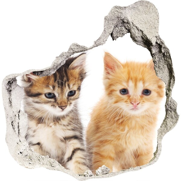 Vinilo adhesivo efecto agujero 3d para casa Amigos gatos detrás del agujero