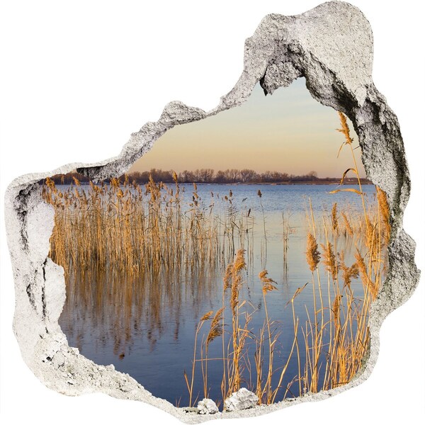 Vinilo decorativo boquete pared irregular Bahía con juncos