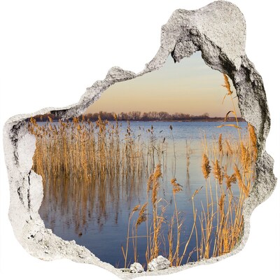 Vinilo decorativo boquete pared irregular Bahía con juncos