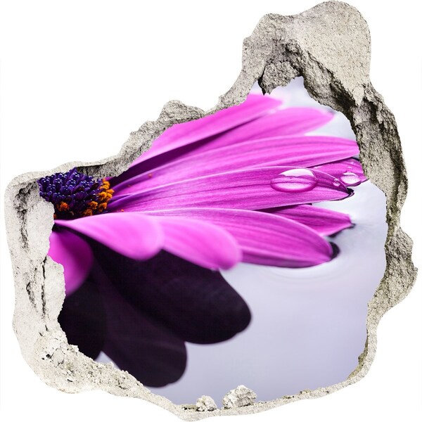 Samoprzylepna naklejka fototapeta Kwiatowa oaza za ścianą