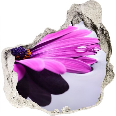 Vinilo decorativo boquete pared irregular Un oasis floral detrás del muro