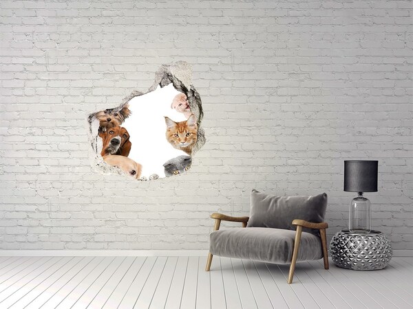 Pegatina efecto 3d pared rota decorativa Animales en un agujero en la pared
