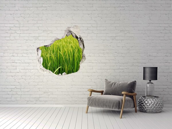 Vinilo decorativo boquete pared irregular campos de arroz verdes