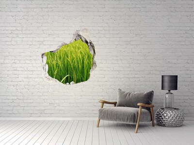 Vinilo decorativo boquete pared irregular campos de arroz verdes