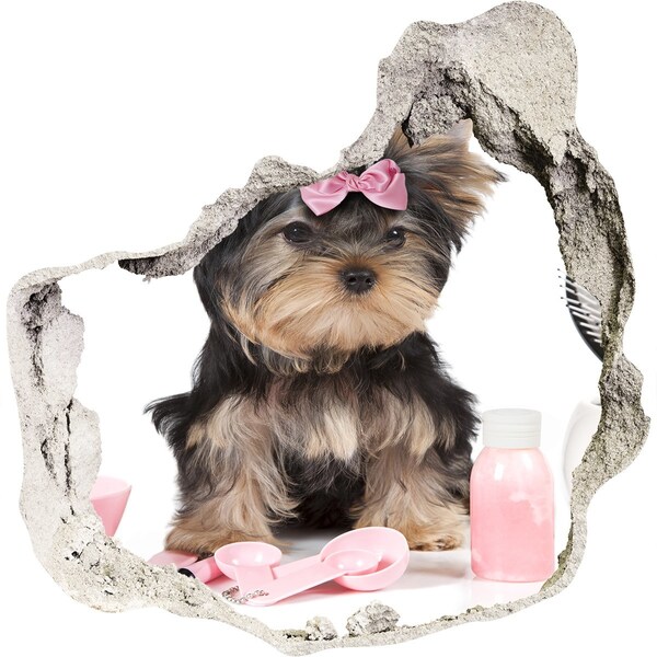 Vinilo decorativo boquete pared irregular Un dulce Yorkshire Terrier con un lazo rosa.