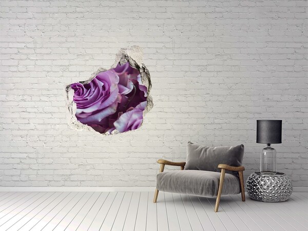 Vinilo adhesivo efecto agujero 3d para casa Rosas en hormigón