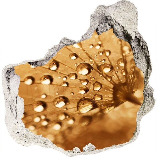 Vinilo adhesivo efecto agujero 3d para casa Gotas sobre una hoja