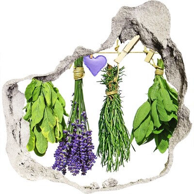 Vinilo adhesivo efecto agujero 3d para casa Jardín de hierbas en un agujero en la pared