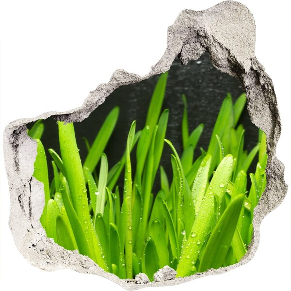 Vinilo decorativo boquete pared irregular Paraíso verde detrás del muro