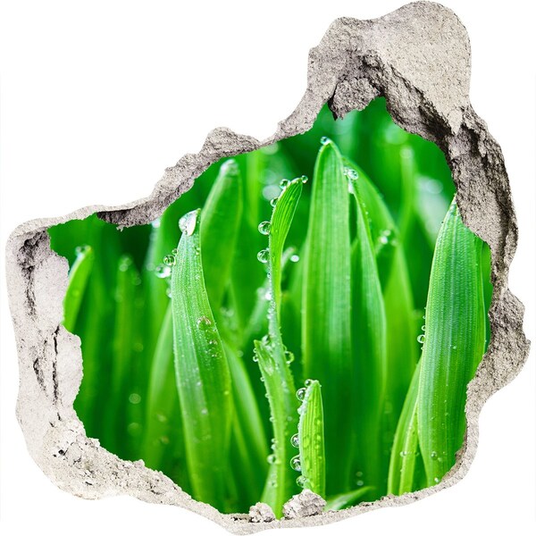 Vinilo decorativo boquete pared irregular Prado verde con gotas de agua