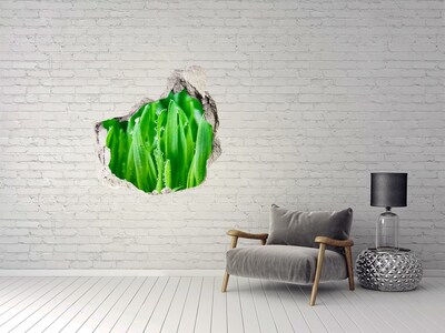 Vinilo decorativo boquete pared irregular Prado verde con gotas de agua